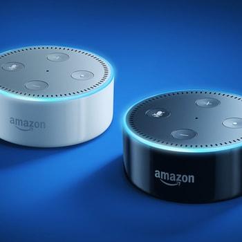 Amazon echo deals audio input