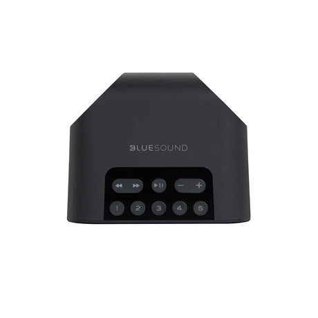 Bluesound PULSE FLEX 2i Wireless Speaker - K&B Audio