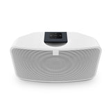 Bluesound PULSE MINI 2i Wireless Speaker - K&B Audio