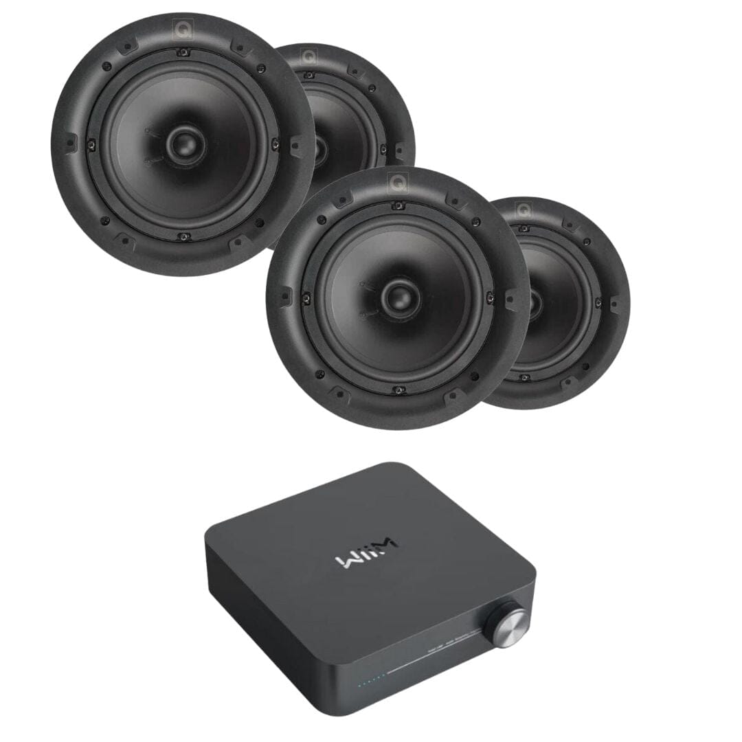 Ceiling mounted wifi store speakers