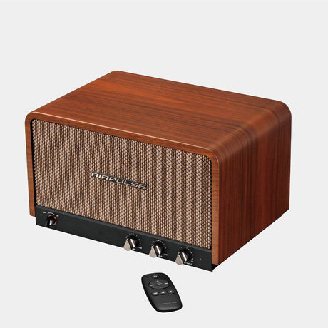 Airpulse P100X Active Desktop Speaker with Bluetooth 5.0 - K&B Audio